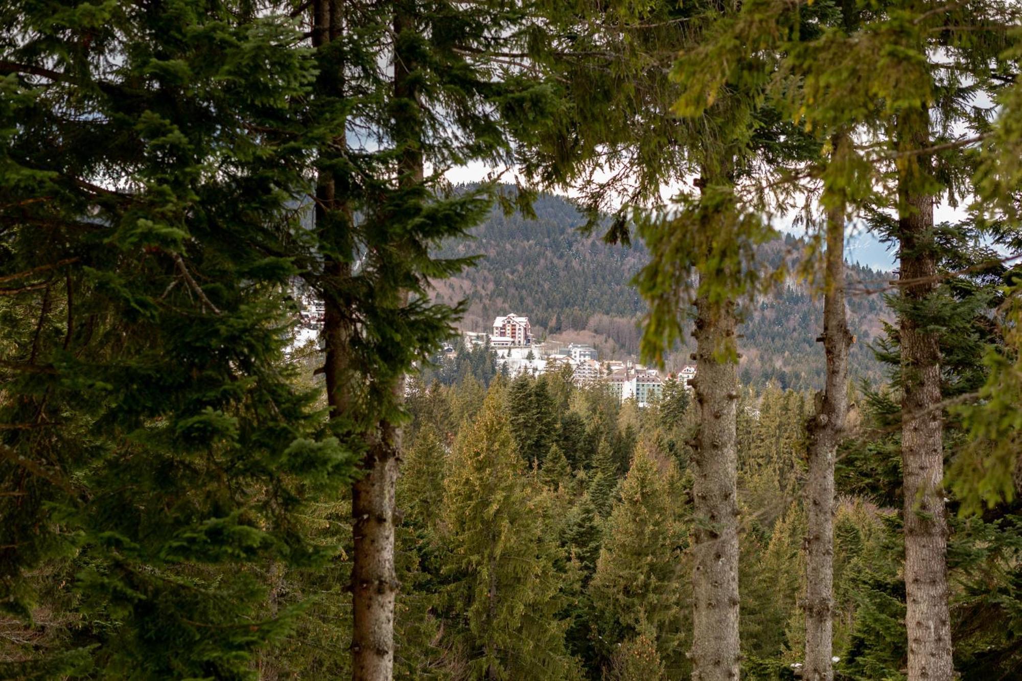 Eden Grand Resort Predeal Exteriör bild